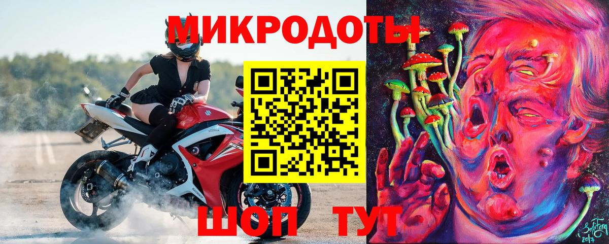 Псилоцибиновые грибы прущие грибы  Вход с VPN  Псилоцибиновые грибы Psilocybe  Россия 